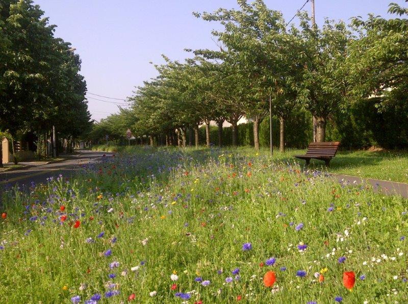 Appart Hotel Studihotel Palaiseau Plateau Saclay Luaran gambar