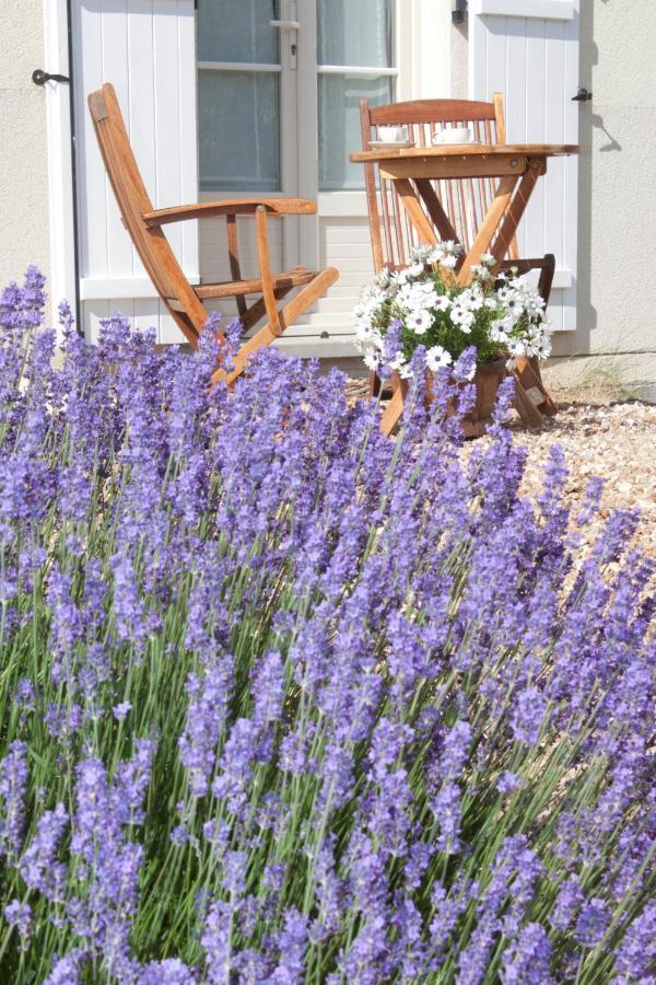 Appart Hotel Studihotel Palaiseau Plateau Saclay Luaran gambar